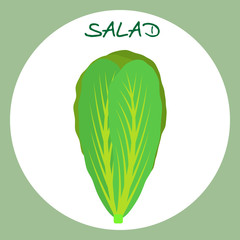 Salad icon in flat style. Vector illustration.