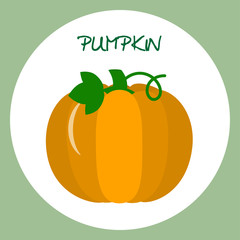 Pumpkin icon in flat style. Vector illustration.