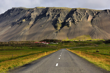 Icelandic road