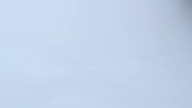 Exchange Old To New Dollar