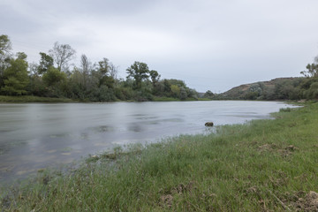 The river Ebro on its way through Escatron, Aragon