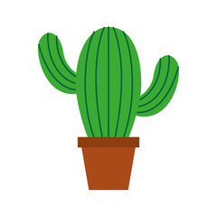 cute potted cactus flora decoration natural vector illustration