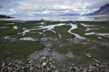 Icelandic landscape