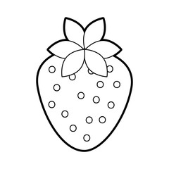 delicious strawberry fruit harvest organic vector illustration