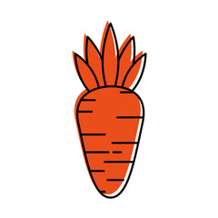 carrot vegetable fresh healthy food vector illustration