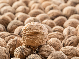 Walnuts. Food background.