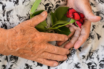 hands retired seniors
