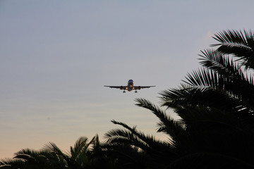 Fototapeta na wymiar Aircraft in Approach to Ibiza over Palm Grove at Early Morning Sunrise