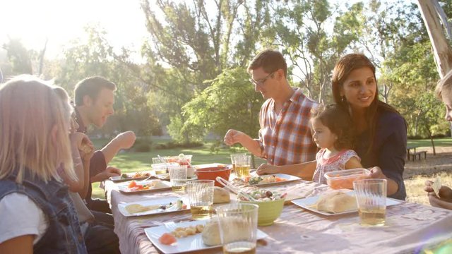 Two families having a picnic together at a table in a park