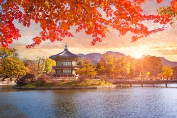 Fotobehang Esdoornbomen met een meer bij gyeongbokgung-paleis, Seoel, Zuid-Korea. © panyaphotograph