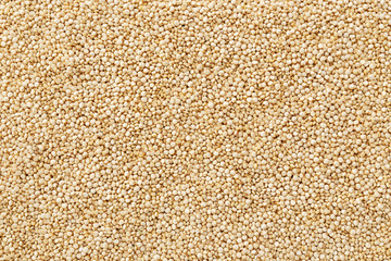Quinoa closeup background