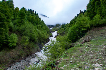 Fototapeta na wymiar Mountain stream in Krasnaya Polyana