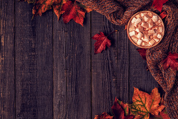 Autumn background with hot chocolate, knitted scarf, multi-colored leaves.
