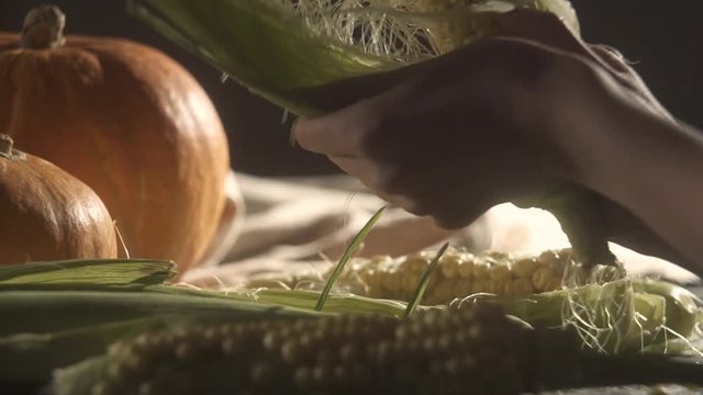 the girl cleans the ear of corn. Still Life of Pumpkins and Wheat on the background.