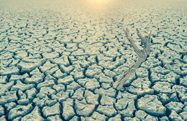 Dry soil