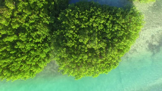 Key West mangroves aerial view with road.