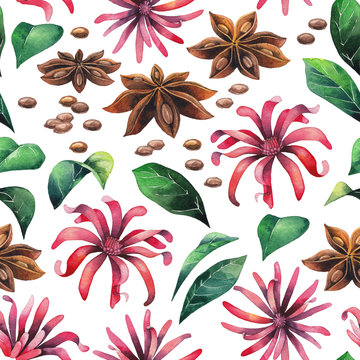 Watercolor star anise