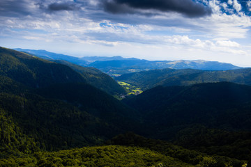 Fototapeta premium La foret de montagne