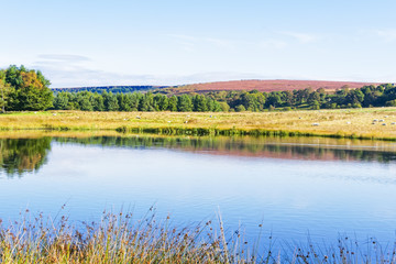 Autumn sky reflected in the still water of a pond. Beyond, sheep graze in a meadow and the heather clad hills of the Peak District.