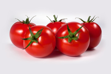 tomatoes