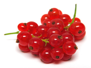 Johannisbeeren
