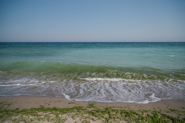 Summer landscape on a savage beach at the Black Sea, Romania