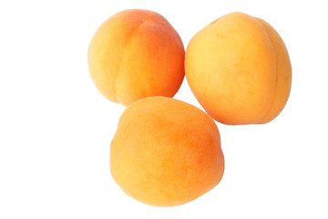 Apricot isolated on white background