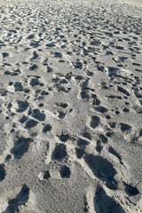 Many footsteps on a sandy beach