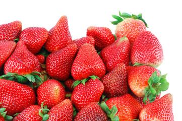 fresh strawberry harvest background