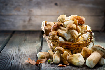 Ceps mushroom. Boletus closeup on wooden rustic table