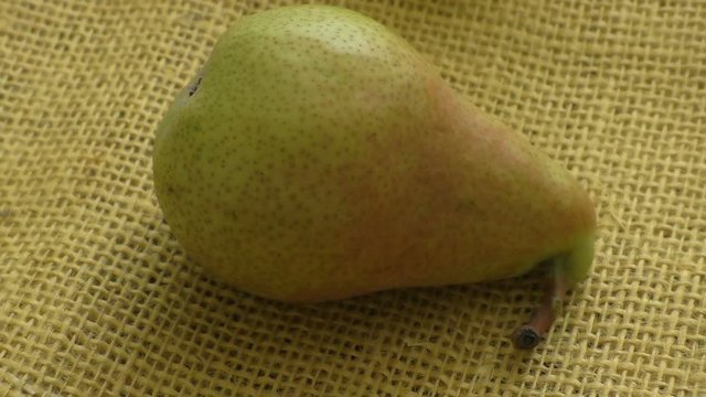 Ripe pear on yellow background. European pear with sack cloth.
