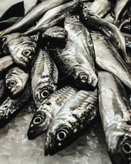 Obraz premium Fish on display / ice at a seafood market in barcelona, spain