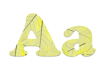 Leaf textured  letter  in a 3D illustration  on a white background