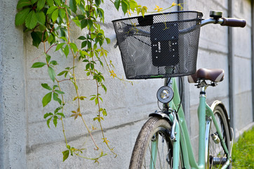 Close up pf a vintage bicycle with a basket bent at grunge fence with a creeper plant