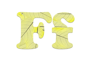 Leaf textured  letter  in a 3D illustration  on a white background