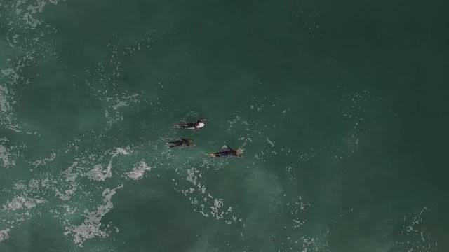 Surfeur rame vue du dessus