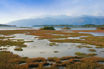 View of reserve Solila - swamp area of the coastal part of the Bay of Kotor. Tivat, Montenegro, autumn