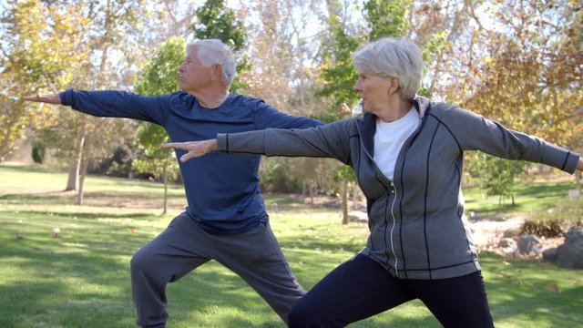 Senior Couple Doing Yoga Exercises Together In Park 