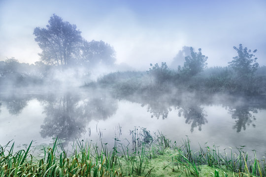 Beautiful autumn scenery at Seversky Donets river, morning foggy scene. Trees at the river bank reflect in water. Fall landscape, pristine nature background.