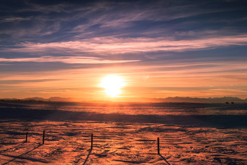 Snow Farm