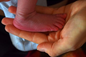 kleines Füsschen von einem neugeborenen Baby in der Hand der Mutter - obrazy, fototapety, plakaty