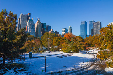 Fall Snow on Central Park, New York City. - obrazy, fototapety, plakaty