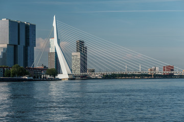 Rotterdam city cityscape skyline with Erasmus bridge and river. South Holland, Netherlands.