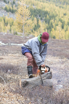 mongolian nomad cutting firewood
