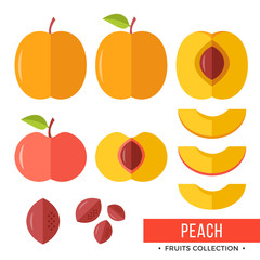 Peach. Whole peach and parts, slices, pits, leaves, core. Set of fruits. Flat design graphic elements. Vector illustration