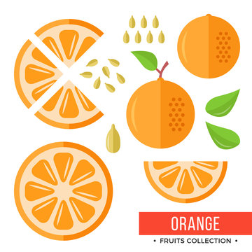 Orange. Whole orange and parts, slices, seeds, leaves. Set of fruits. Flat design graphic elements. Vector illustration
