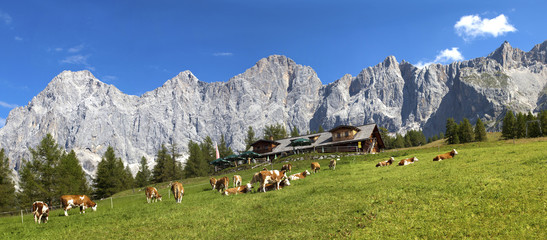 Das Dachstein Massiv Steirischen Ennstal