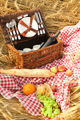 Wicker basket and fruits on plaid  at picnic outdoors