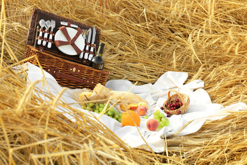 Wicker basket and fruits on plaid for picnic outdoors