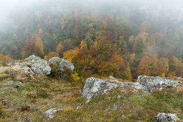 Fototapeta na wymiar season, nature, hiking concept. top view from the highest point of the hill on the wood that grows at the foot of it, with the onset of autumn all foliage turned yellow